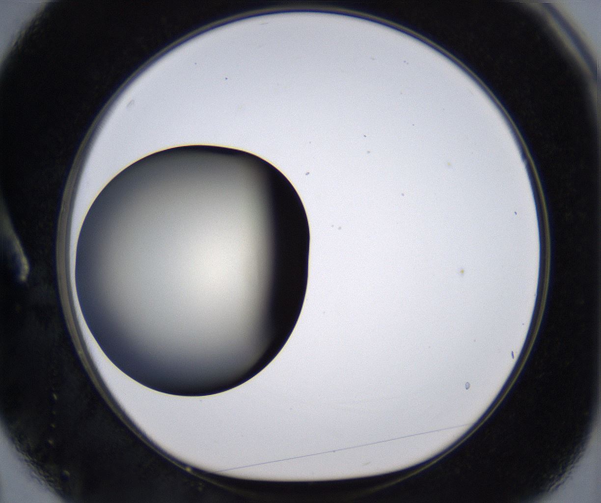 folderID194_plateID2194_batchID9960_wellNum3_profileID1_d1_r148601_ef.jpg