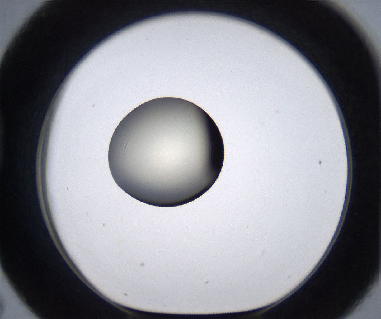 folderID194_plateID2194_batchID9960_wellNum43_profileID1_d1_r148641_ef.jpg