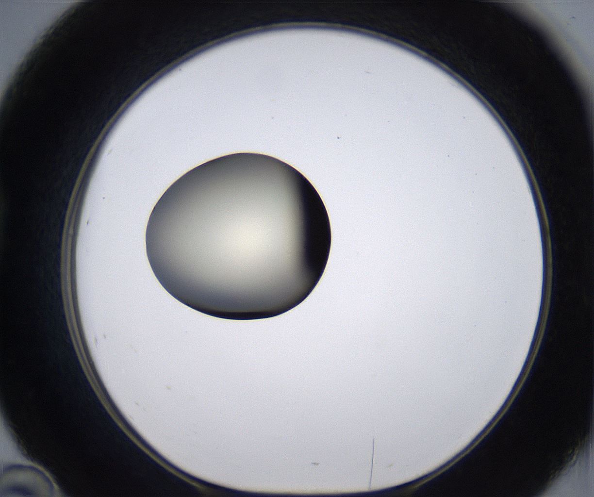 folderID194_plateID2194_batchID9960_wellNum46_profileID1_d1_r148644_ef.jpg