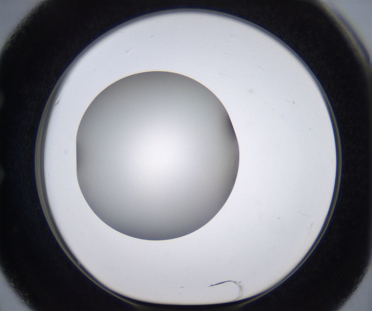 folderID194_plateID2194_batchID9960_wellNum51_profileID1_d1_r148649_ef.jpg