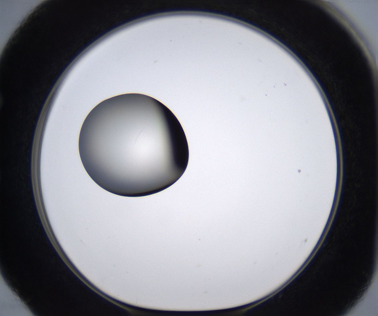 folderID194_plateID2194_batchID9960_wellNum52_profileID1_d1_r148650_ef.jpg