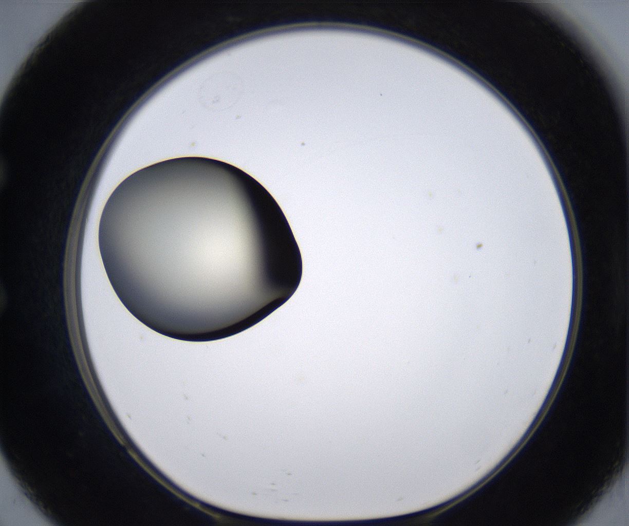 folderID194_plateID2194_batchID9960_wellNum57_profileID1_d1_r148655_ef.jpg