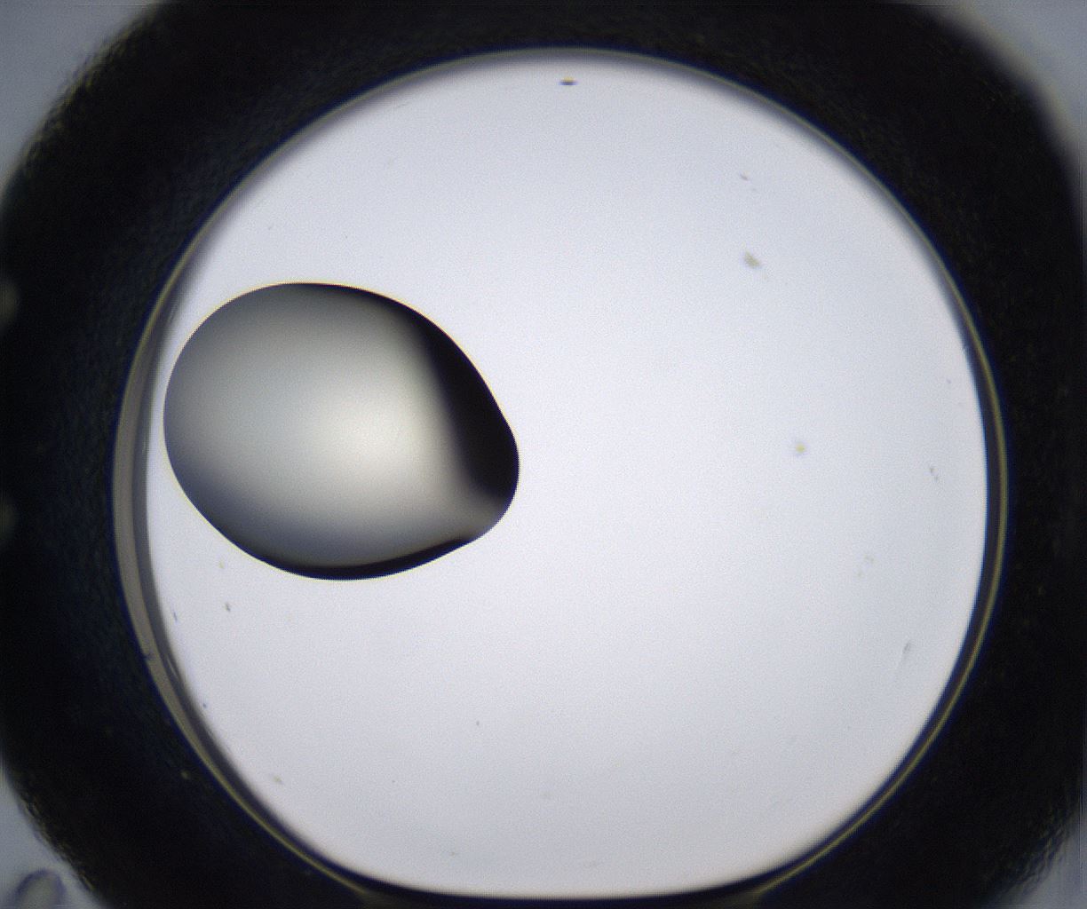 folderID194_plateID2194_batchID9960_wellNum59_profileID1_d1_r148657_ef.jpg