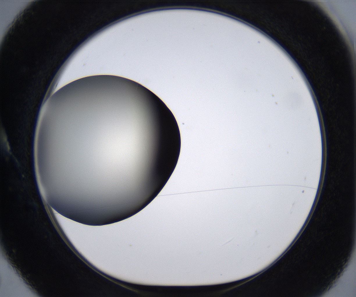 folderID194_plateID2194_batchID9960_wellNum5_profileID1_d1_r148603_ef.jpg