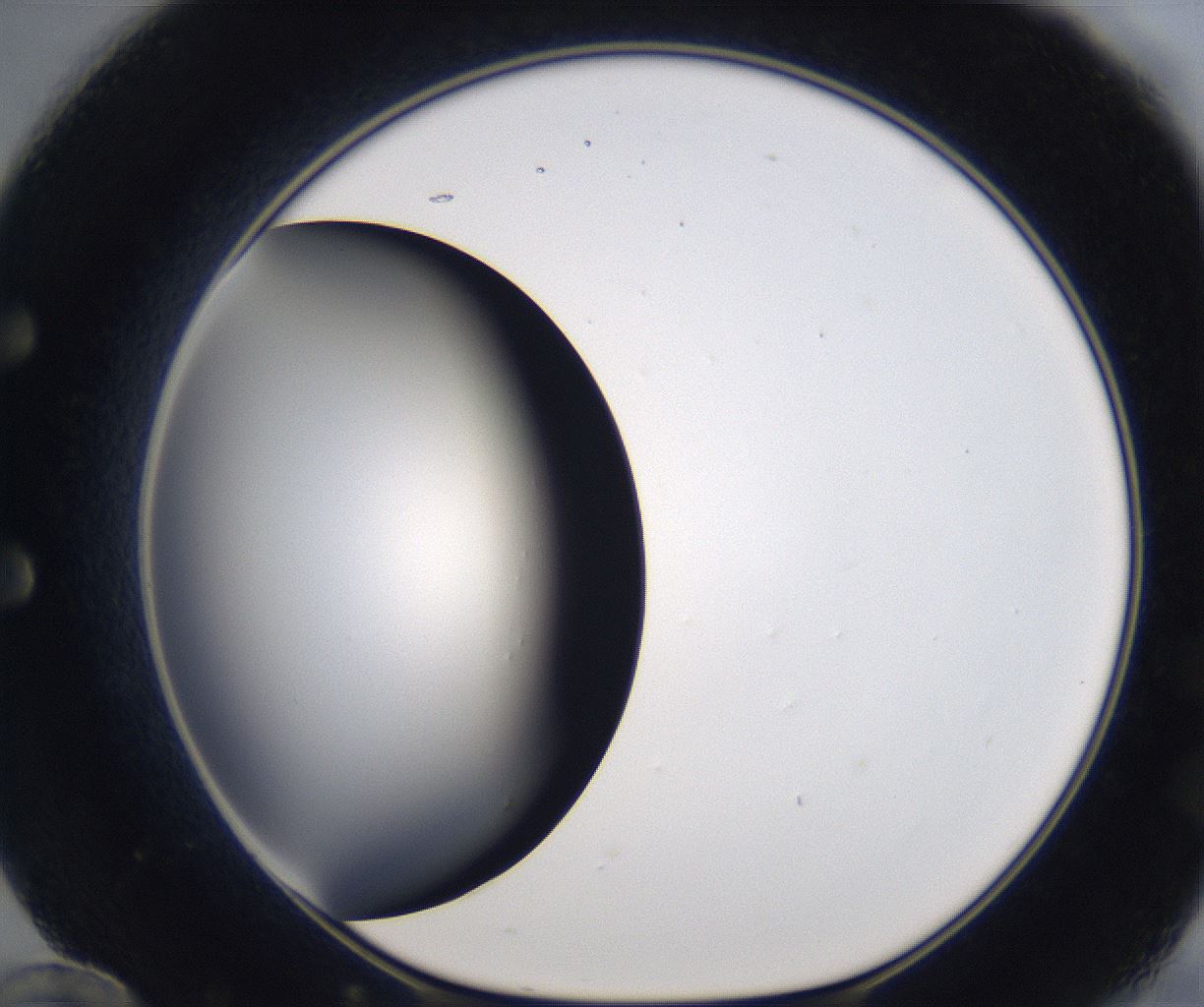 folderID194_plateID2194_batchID9960_wellNum60_profileID1_d1_r148658_ef.jpg