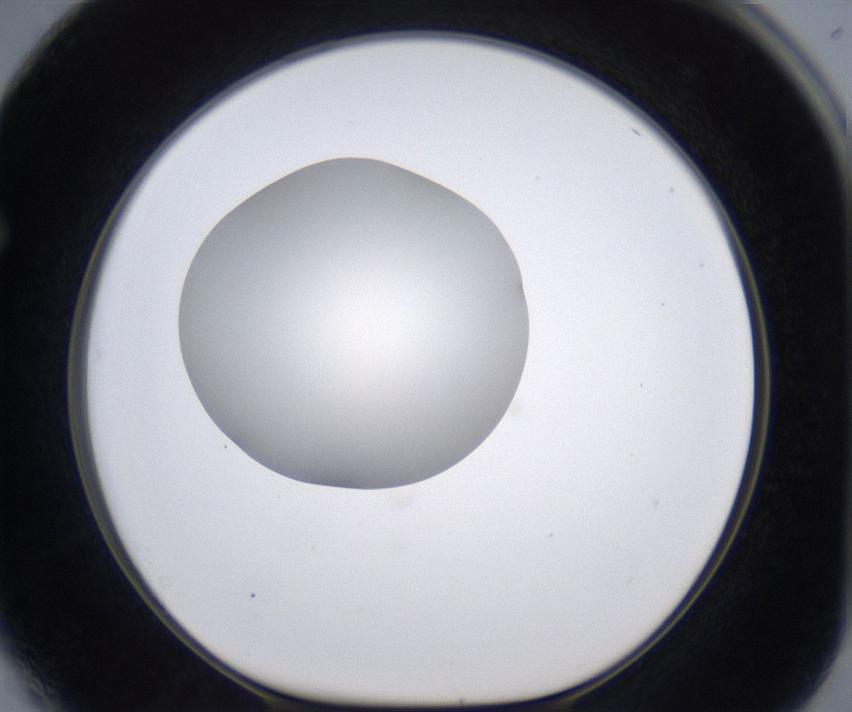 folderID194_plateID2194_batchID9960_wellNum64_profileID1_d1_r148662_ef.jpg
