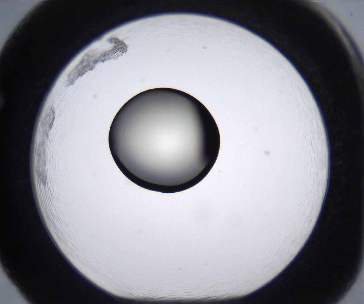 folderID194_plateID2194_batchID9960_wellNum65_profileID1_d1_r148663_ef.jpg