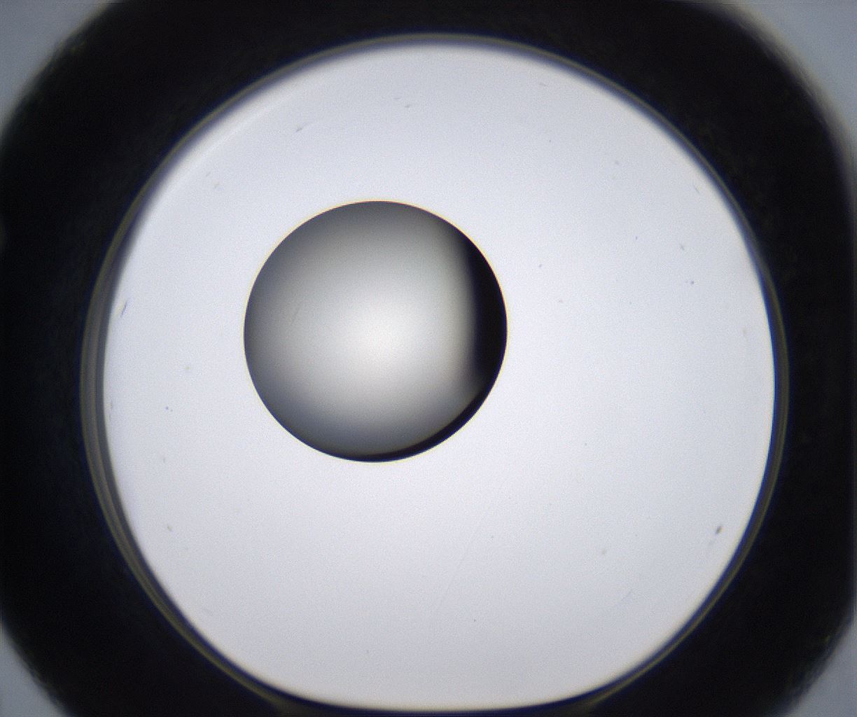 folderID194_plateID2194_batchID9960_wellNum67_profileID1_d1_r148665_ef.jpg