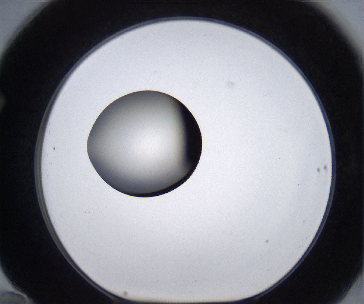 folderID194_plateID2194_batchID9960_wellNum70_profileID1_d1_r148668_ef.jpg