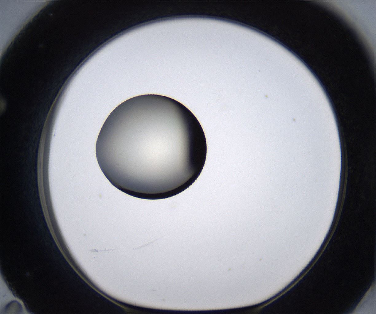 folderID194_plateID2194_batchID9960_wellNum71_profileID1_d1_r148669_ef.jpg