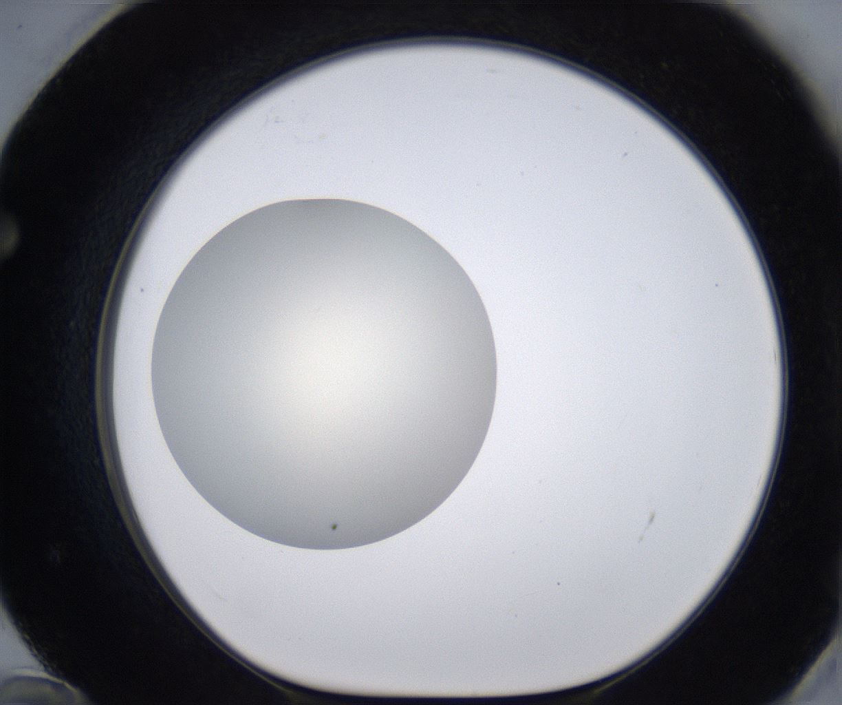 folderID194_plateID2194_batchID9960_wellNum72_profileID1_d1_r148670_ef.jpg