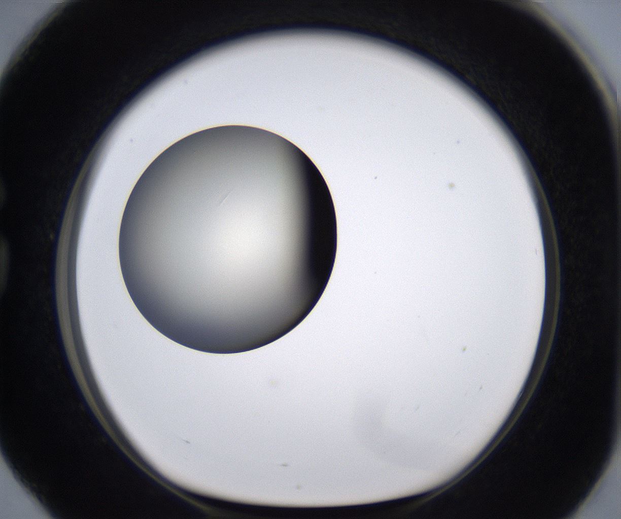 folderID194_plateID2194_batchID9960_wellNum76_profileID1_d1_r148674_ef.jpg
