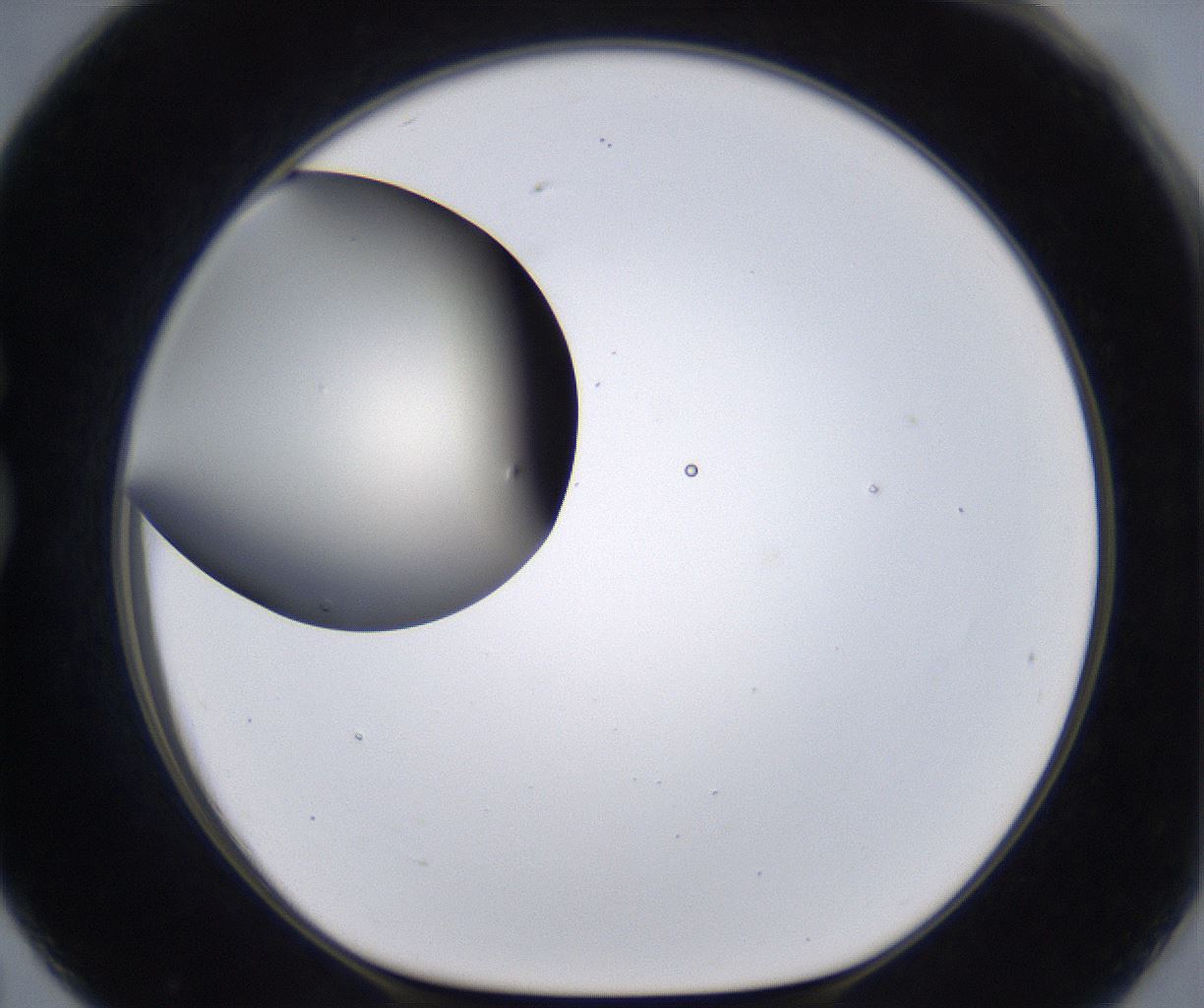 folderID194_plateID2194_batchID9960_wellNum79_profileID1_d1_r148677_ef.jpg