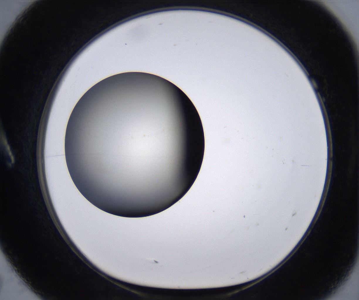 folderID194_plateID2194_batchID9960_wellNum7_profileID1_d1_r148605_ef.jpg