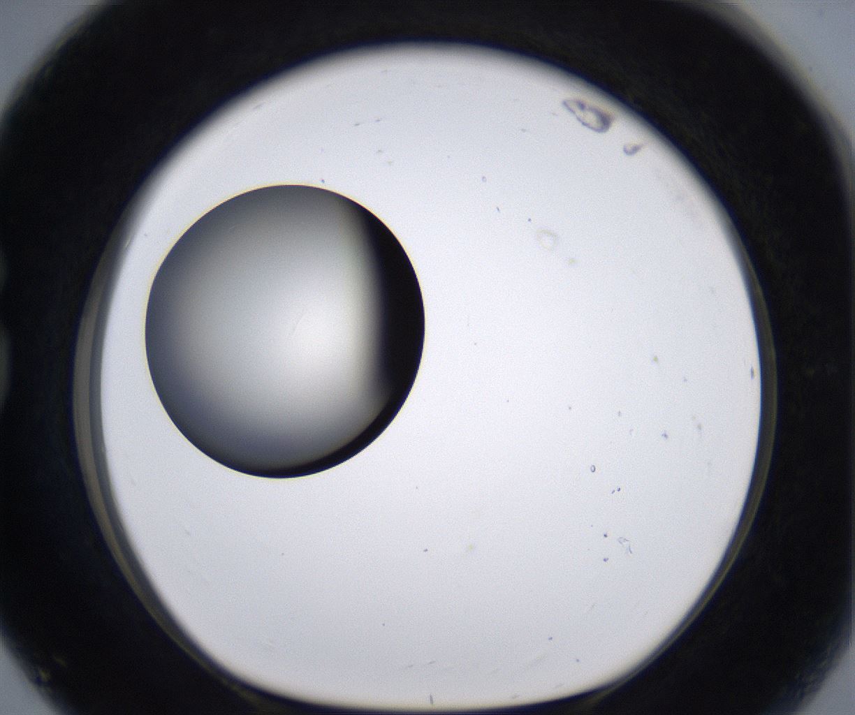 folderID194_plateID2194_batchID9960_wellNum80_profileID1_d1_r148678_ef.jpg