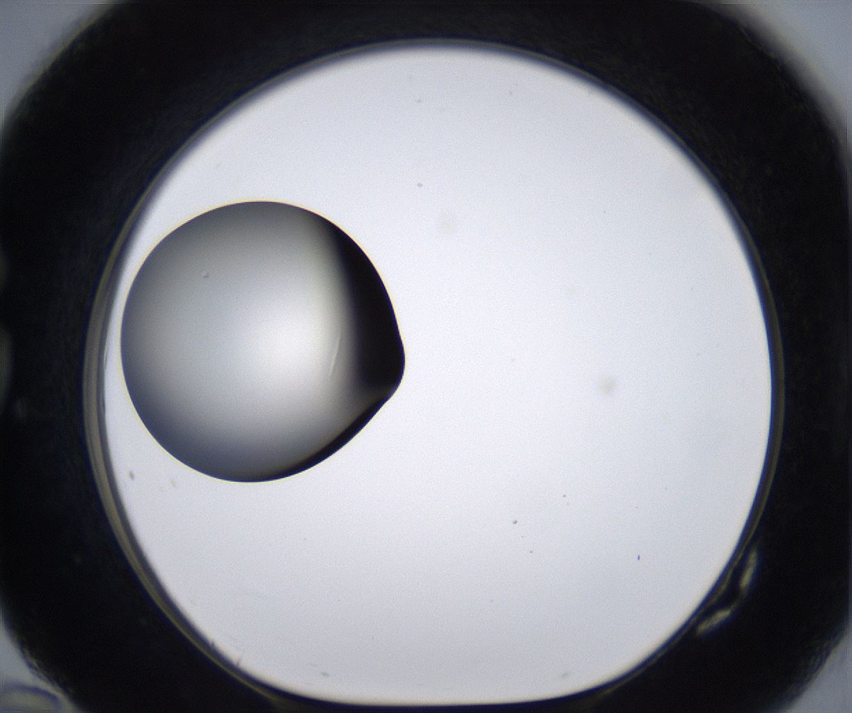 folderID194_plateID2194_batchID9960_wellNum82_profileID1_d1_r148680_ef.jpg