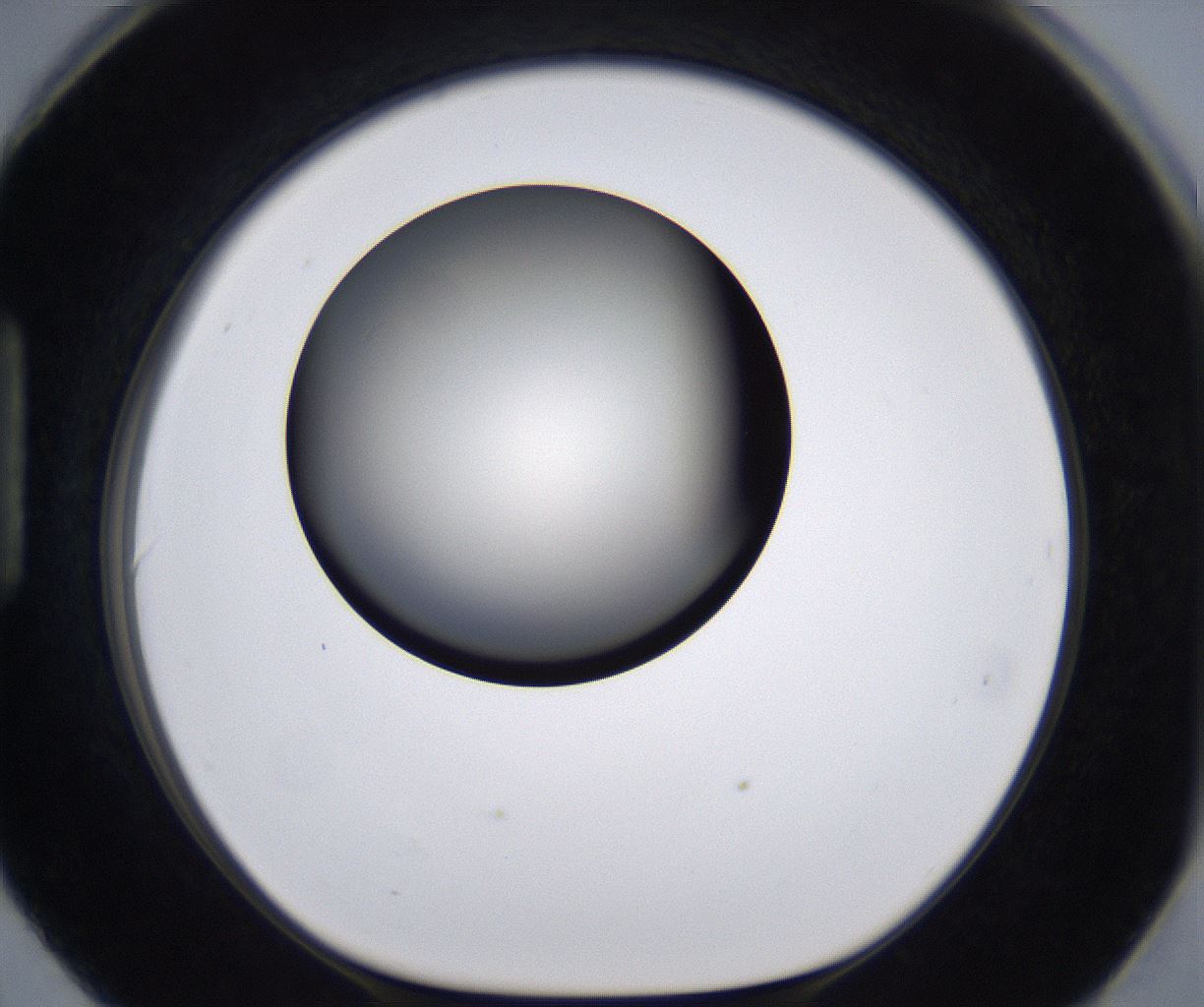 folderID194_plateID2194_batchID9960_wellNum90_profileID1_d1_r148688_ef.jpg