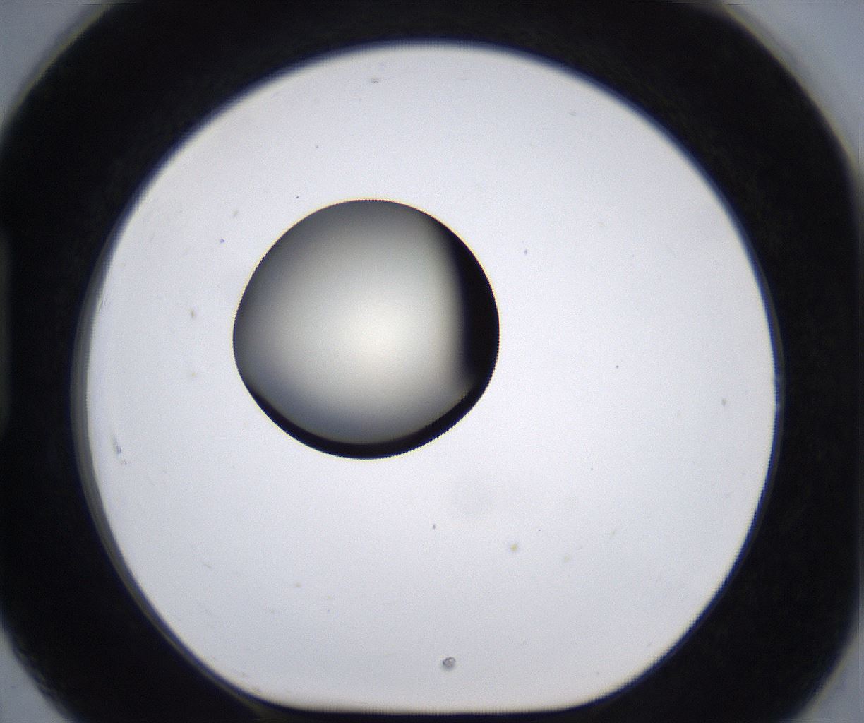 folderID194_plateID2194_batchID9960_wellNum91_profileID1_d1_r148689_ef.jpg