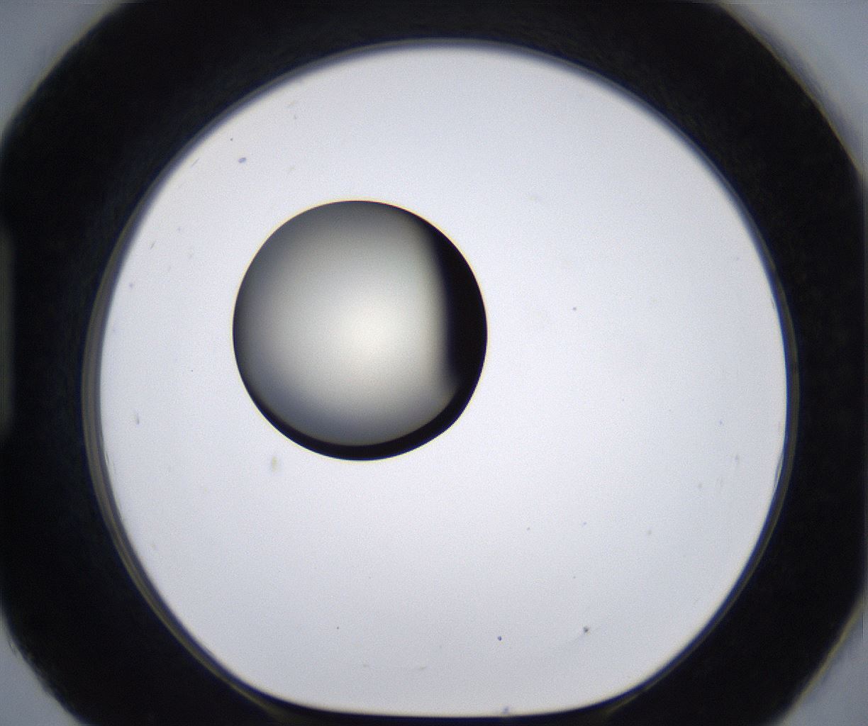 folderID194_plateID2194_batchID9960_wellNum93_profileID1_d1_r148691_ef.jpg