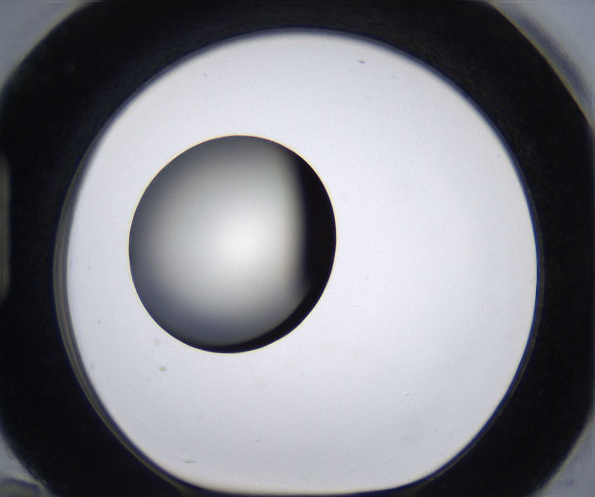 folderID194_plateID2194_batchID9960_wellNum94_profileID1_d1_r148692_ef.jpg