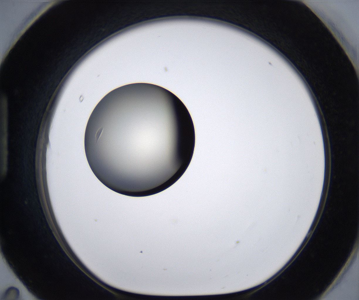 folderID194_plateID2194_batchID9960_wellNum95_profileID1_d1_r148693_ef.jpg