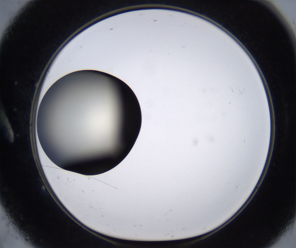 folderID194_plateID2194_batchID9960_wellNum9_profileID1_d1_r148607_ef.jpg