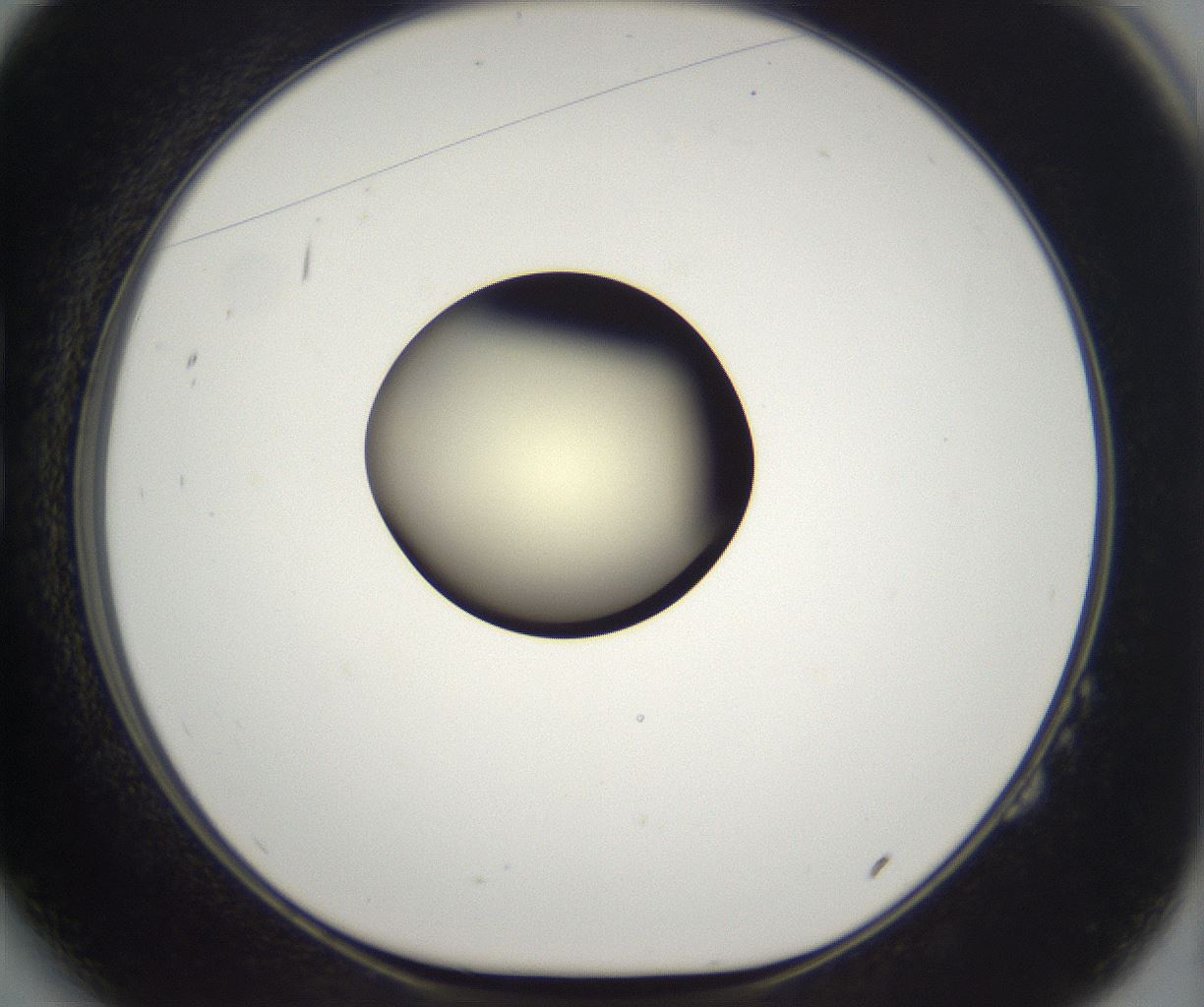 folderID195_plateID2195_batchID9964_wellNum14_profileID1_d1_r148900_ef.jpg