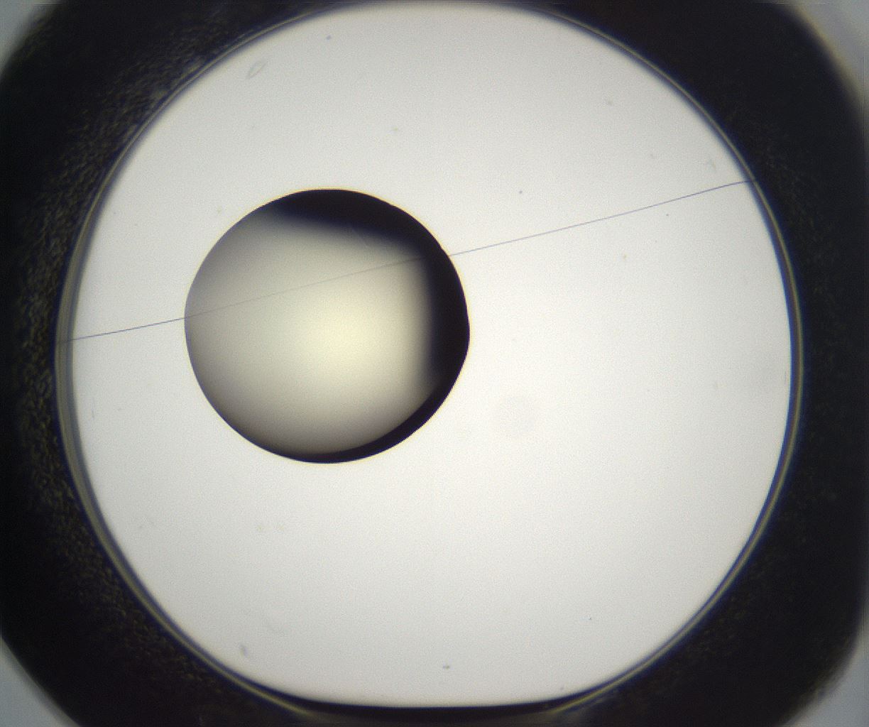 folderID195_plateID2195_batchID9964_wellNum25_profileID1_d1_r148911_ef.jpg