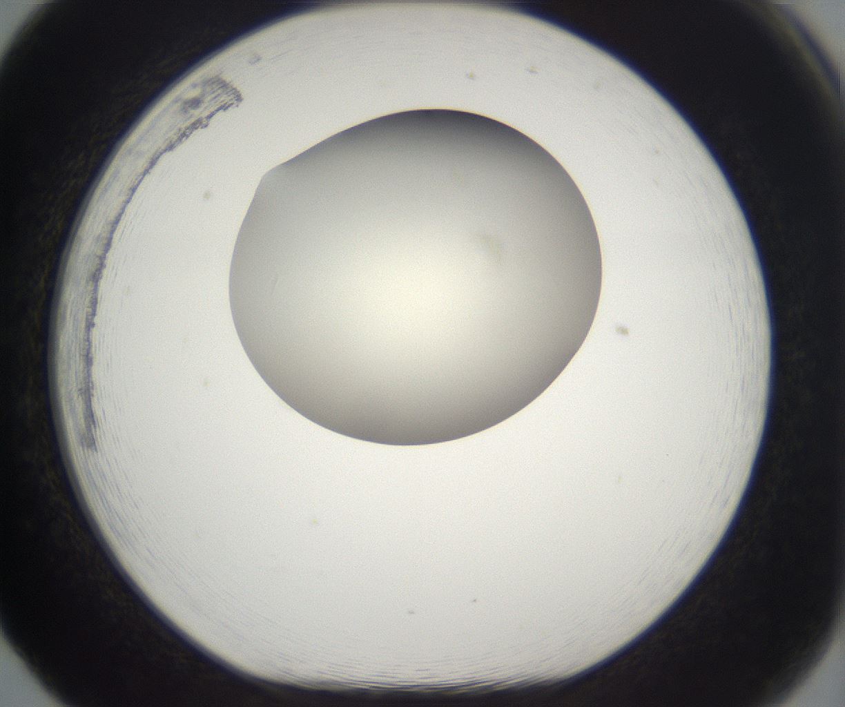folderID195_plateID2195_batchID9964_wellNum65_profileID1_d1_r148951_ef.jpg