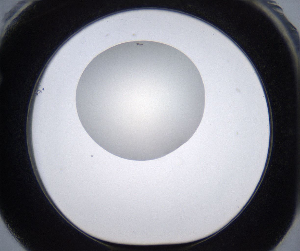 folderID194_plateID2194_batchID9960_wellNum61_profileID1_d1_r148659_ef.jpg