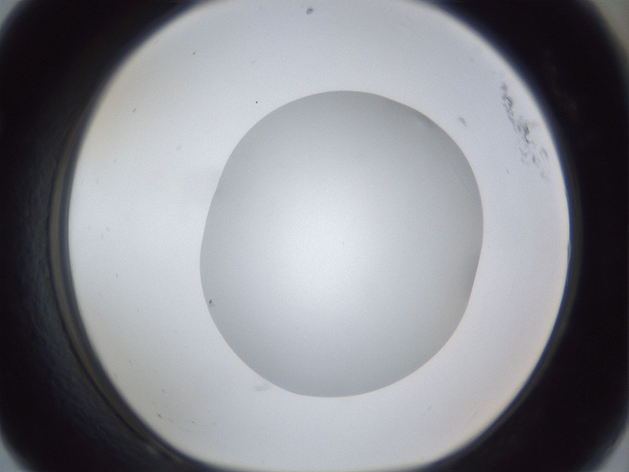 folderID19_plateID1019_batchID1884_wellNum68_profileID1_d1_r42855_ef.jpg