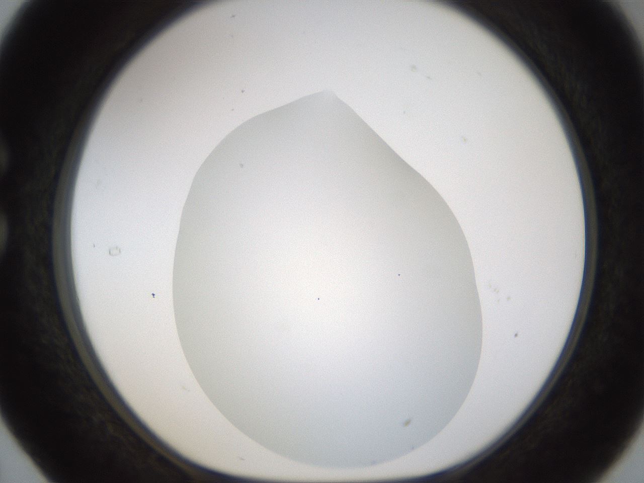 folderID201_plateID1201_batchID3524_wellNum29_profileID1_d1_r66299_ef.jpg