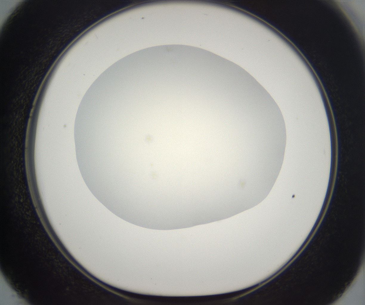 folderID195_plateID2195_batchID9964_wellNum50_profileID1_d1_r148936_ef.jpg