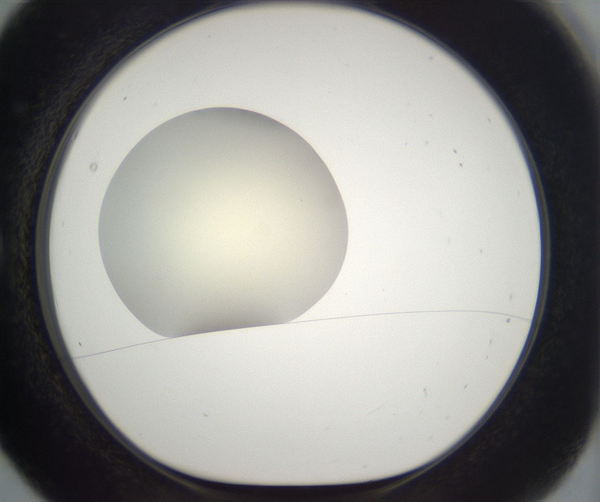 folderID195_plateID2195_batchID9964_wellNum5_profileID1_d1_r148891_ef.jpg