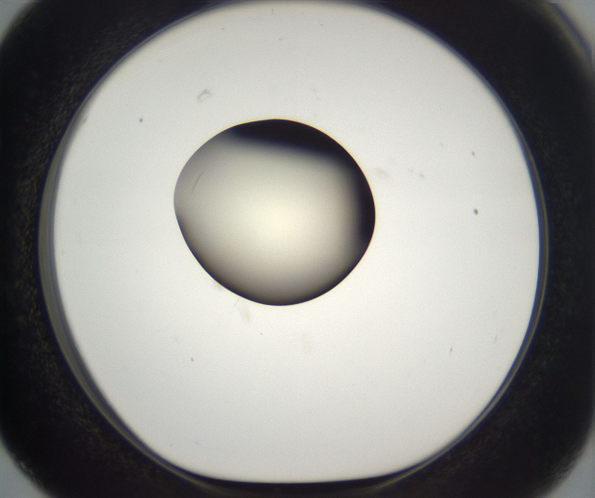 folderID195_plateID2195_batchID9964_wellNum63_profileID1_d1_r148949_ef.jpg