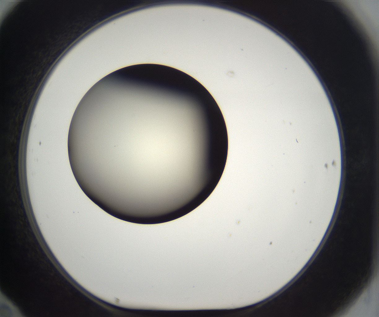 folderID195_plateID2195_batchID9964_wellNum70_profileID1_d1_r148956_ef.jpg