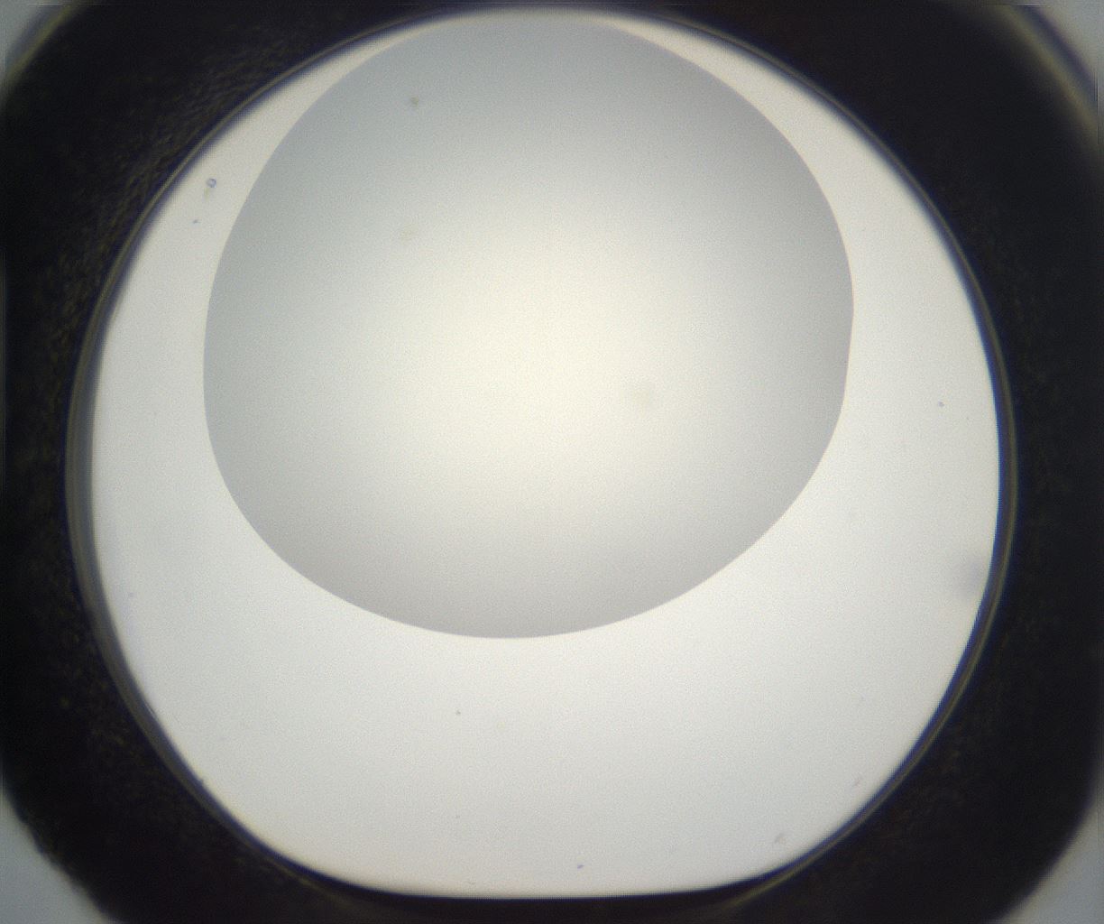 folderID195_plateID2195_batchID9964_wellNum88_profileID1_d1_r148974_ef.jpg
