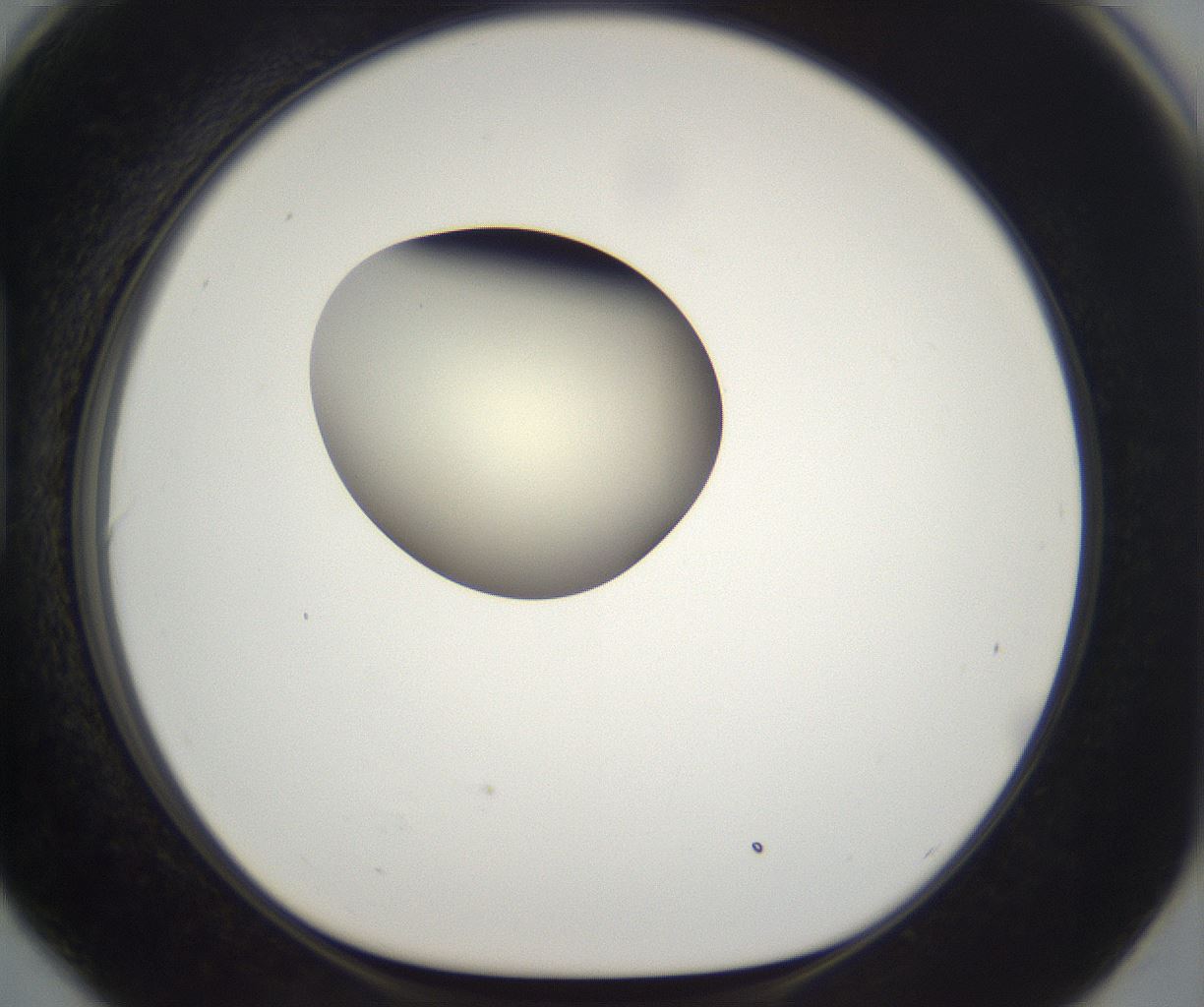folderID195_plateID2195_batchID9964_wellNum90_profileID1_d1_r148976_ef.jpg