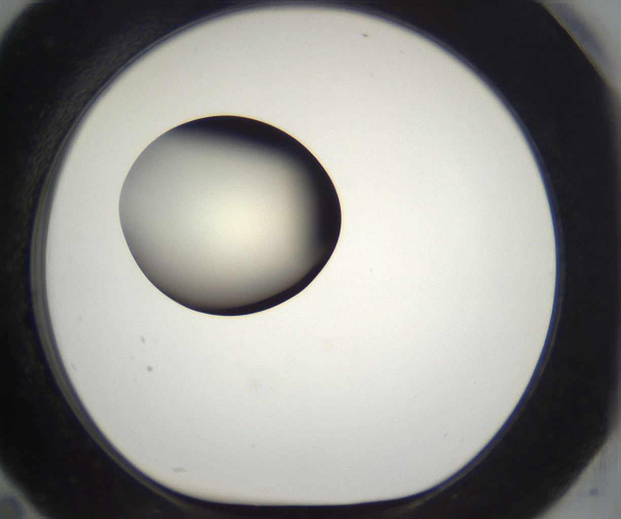 folderID195_plateID2195_batchID9964_wellNum94_profileID1_d1_r148980_ef.jpg