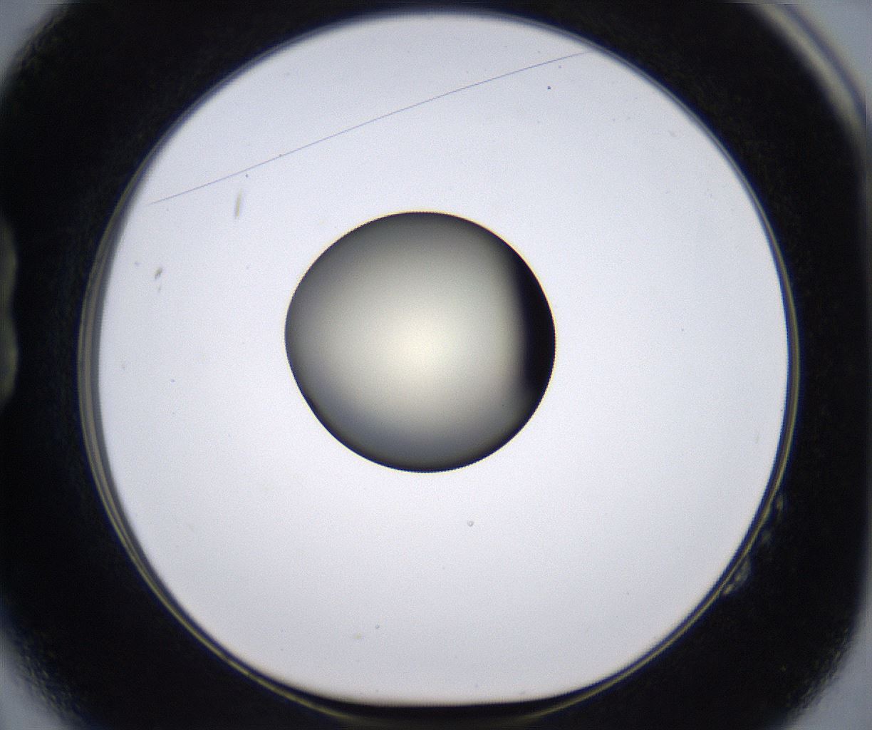 folderID196_plateID2196_batchID9963_wellNum14_profileID1_d1_r148804_ef.jpg