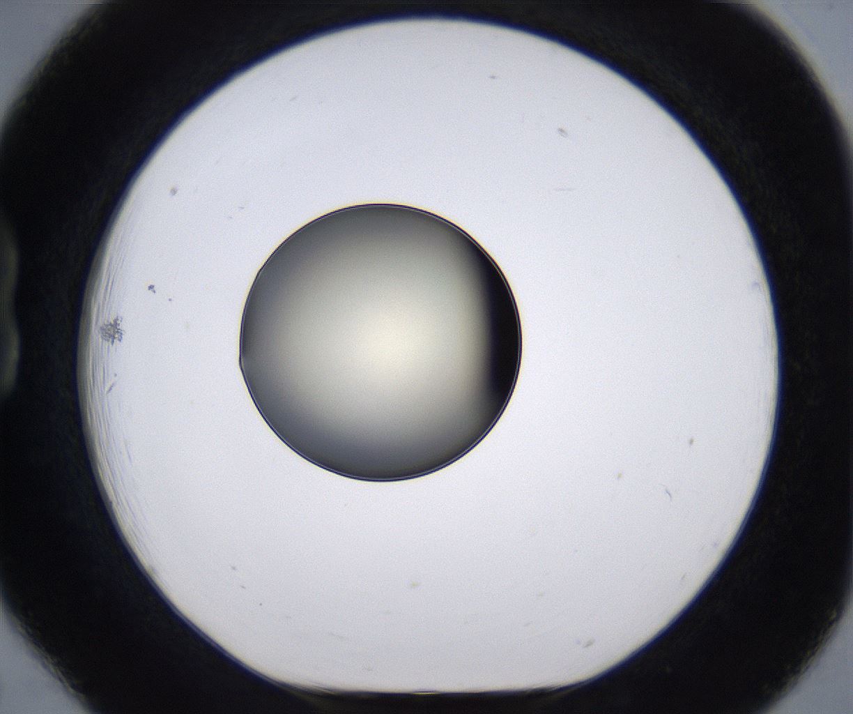 folderID196_plateID2196_batchID9963_wellNum18_profileID1_d1_r148808_ef.jpg