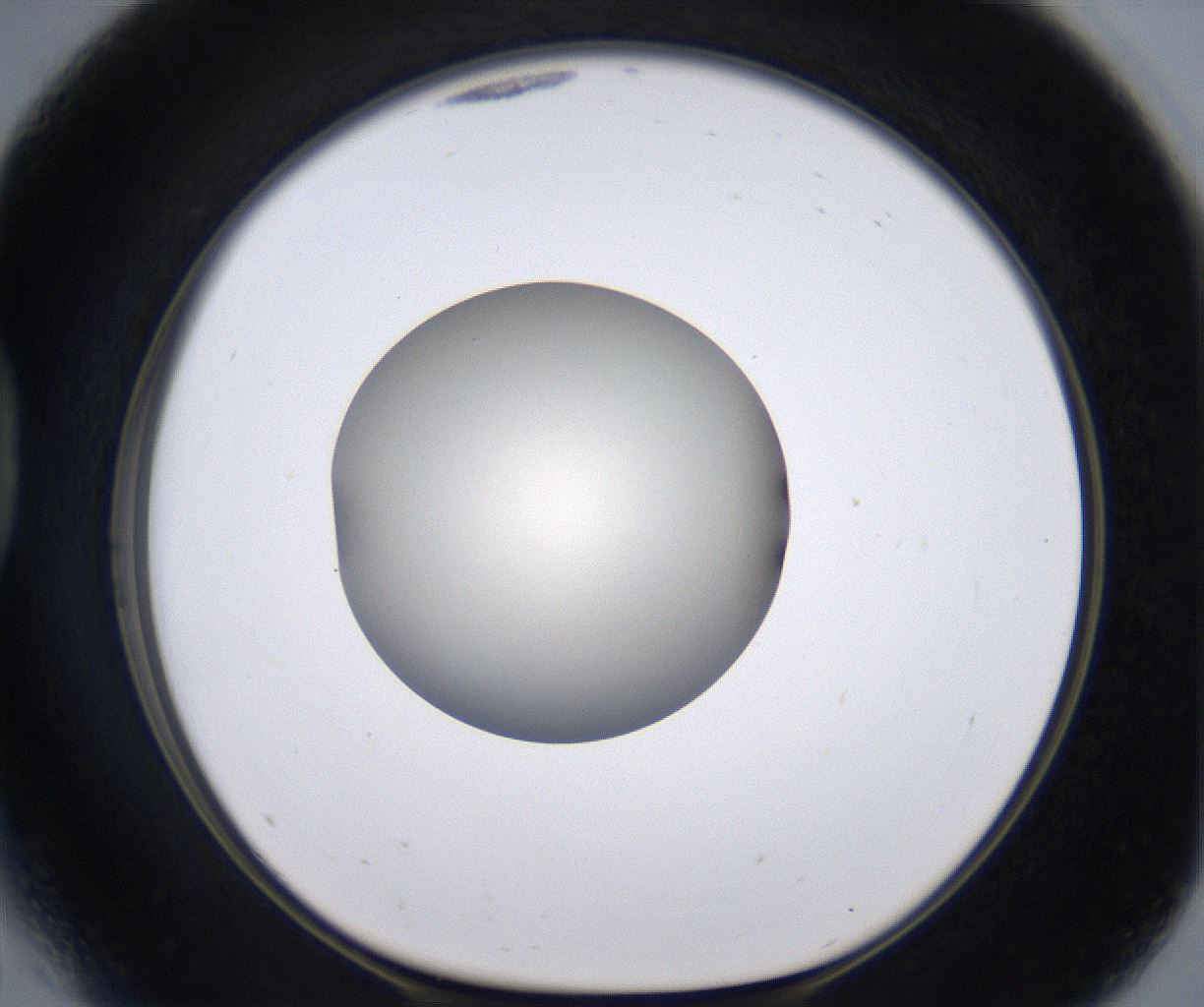 folderID196_plateID2196_batchID9963_wellNum41_profileID1_d1_r148831_ef.jpg