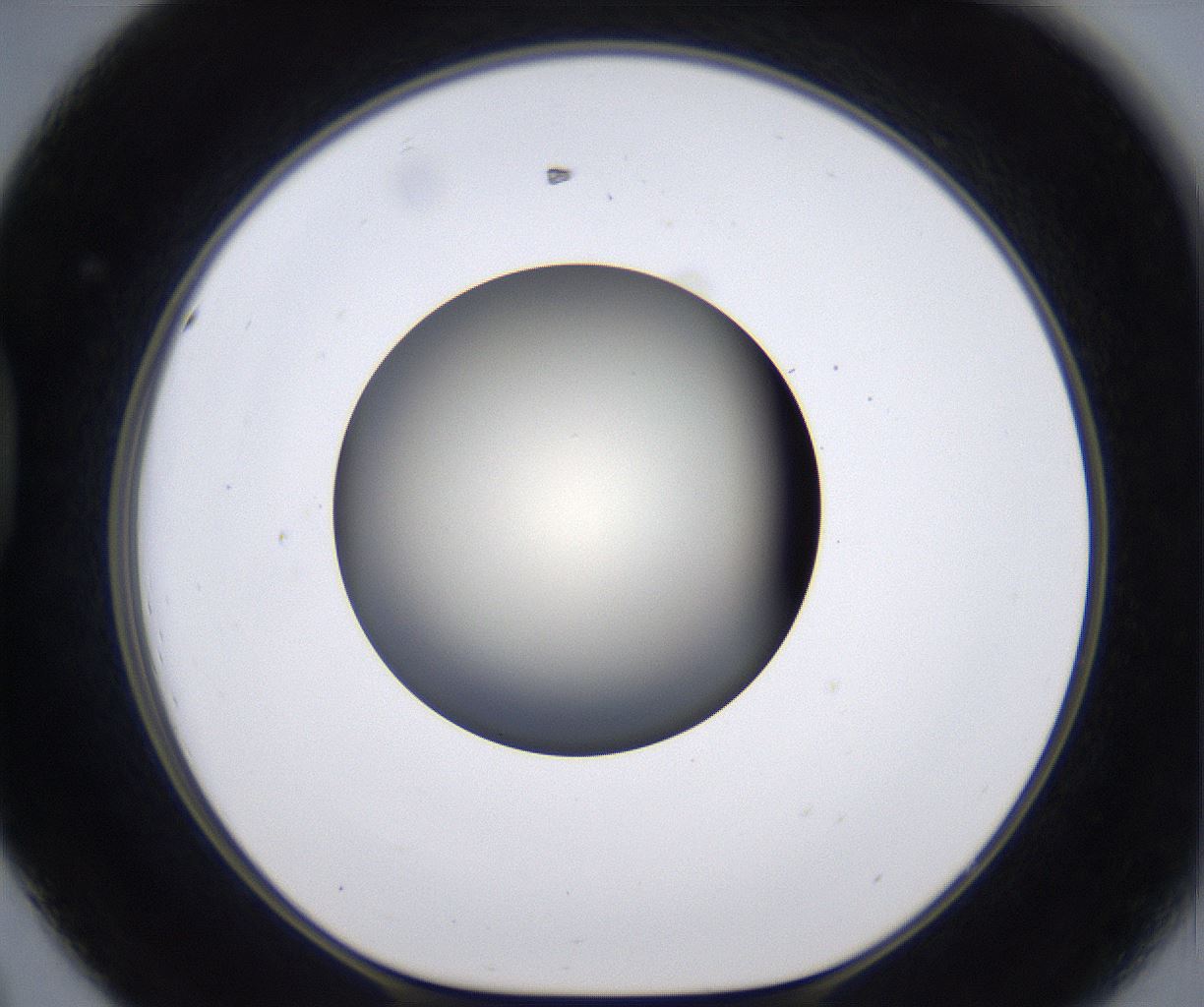 folderID196_plateID2196_batchID9963_wellNum44_profileID1_d1_r148834_ef.jpg
