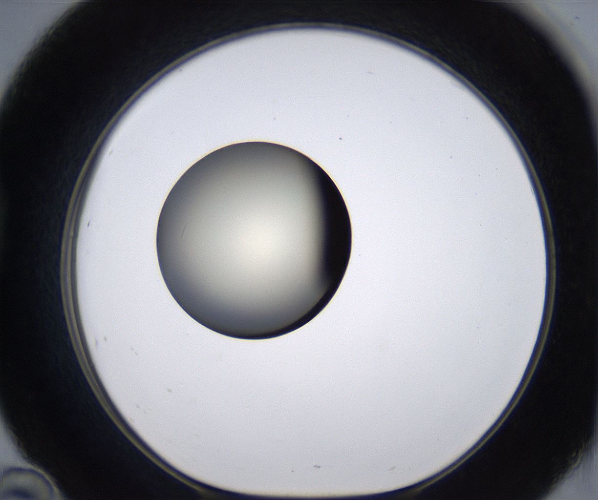 folderID196_plateID2196_batchID9963_wellNum46_profileID1_d1_r148836_ef.jpg