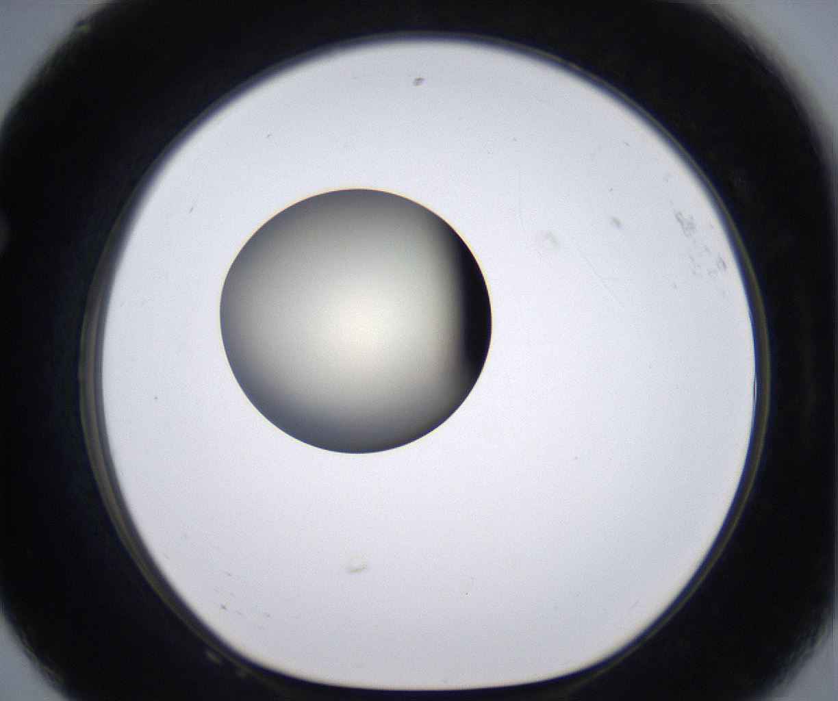 folderID196_plateID2196_batchID9963_wellNum68_profileID1_d1_r148858_ef.jpg