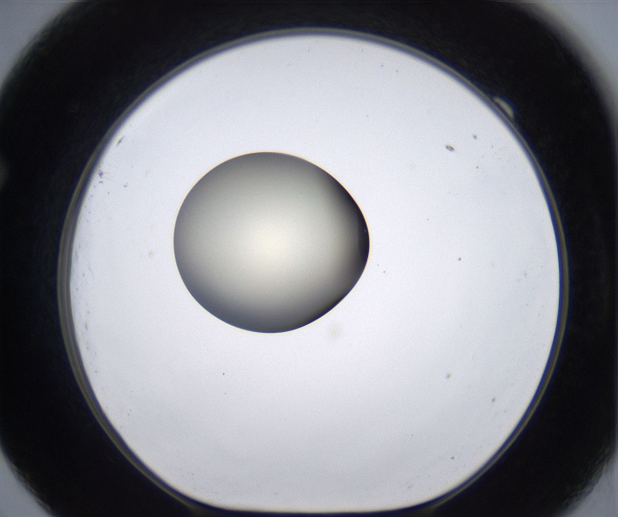 folderID196_plateID2196_batchID9963_wellNum69_profileID1_d1_r148859_ef.jpg