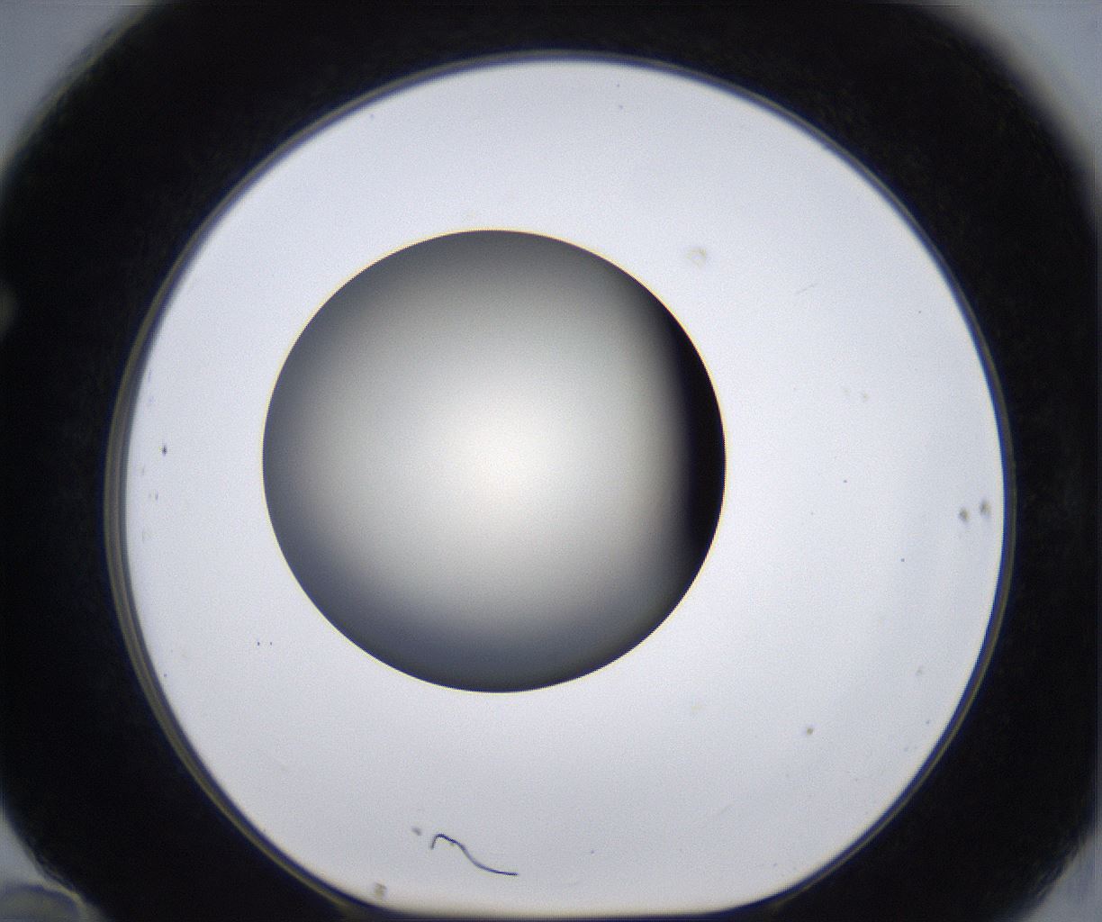 folderID196_plateID2196_batchID9963_wellNum70_profileID1_d1_r148860_ef.jpg
