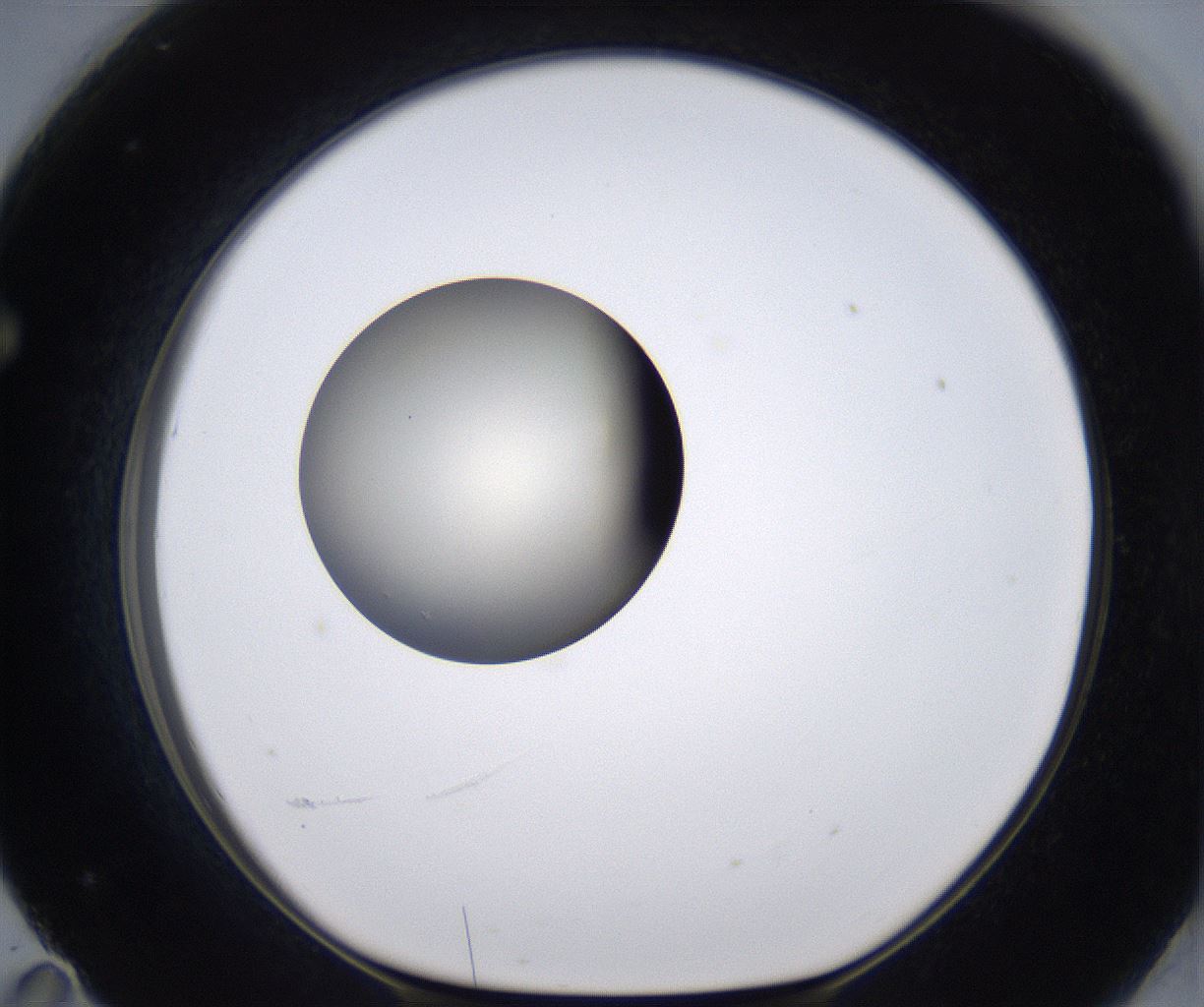 folderID196_plateID2196_batchID9963_wellNum71_profileID1_d1_r148861_ef.jpg
