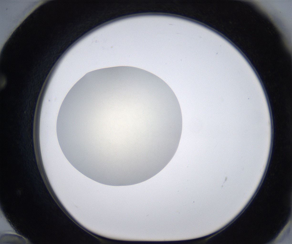 folderID196_plateID2196_batchID9963_wellNum72_profileID1_d1_r148862_ef.jpg