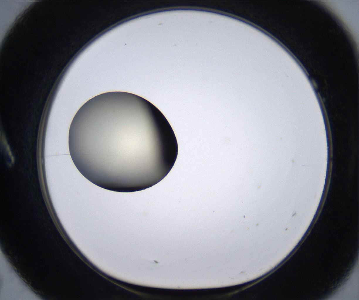 folderID196_plateID2196_batchID9963_wellNum7_profileID1_d1_r148797_ef.jpg